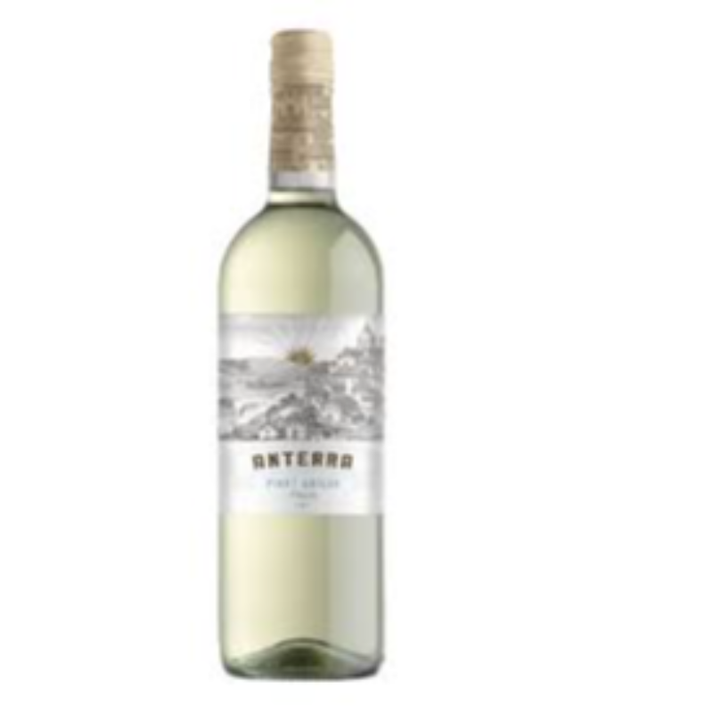 Anterra Pinot Grigio Main Image